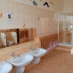 phoca_thumb_m_zajci 14 Fotogalerie